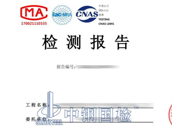道路檢測報告